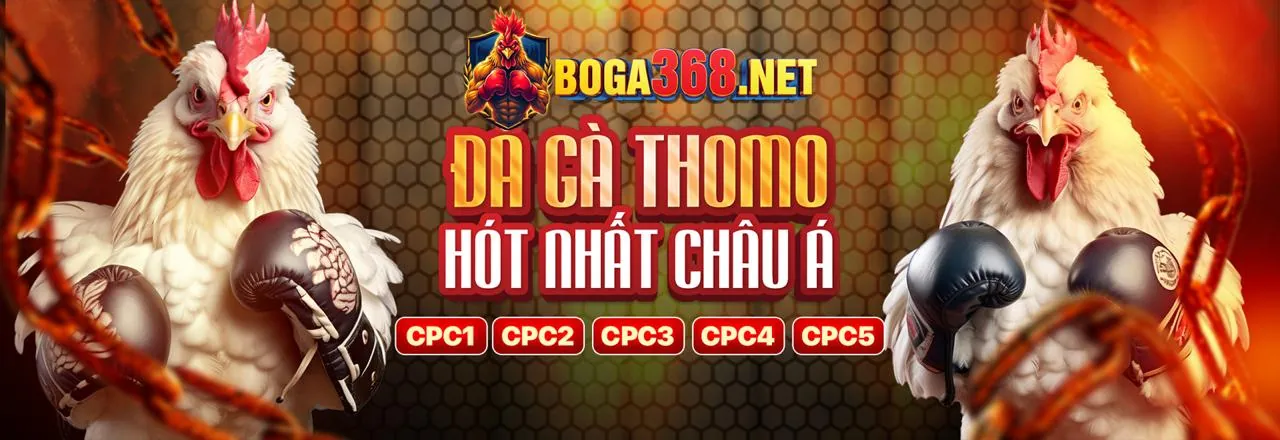 Đối tác kinh doanh km88